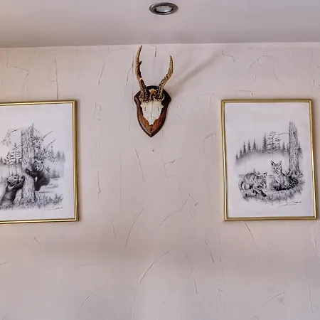 Bed and Breakfast Knieja Murzasichle