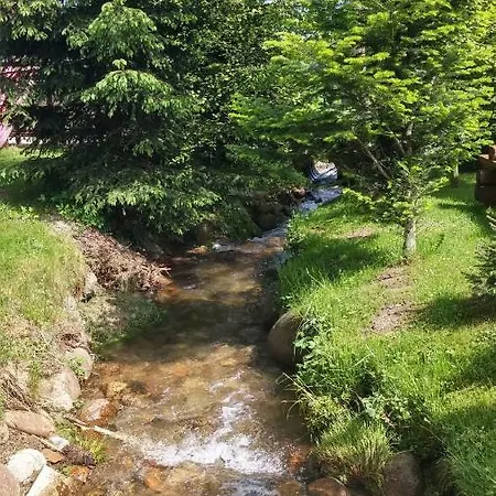 Knieja
