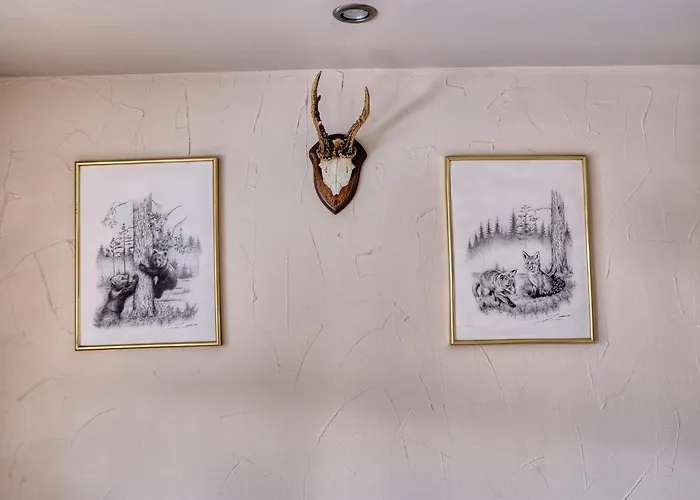 住宿加早餐酒店 Knieja 穆扎希赫尔