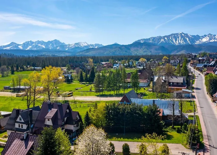 Knieja 穆扎希赫尔